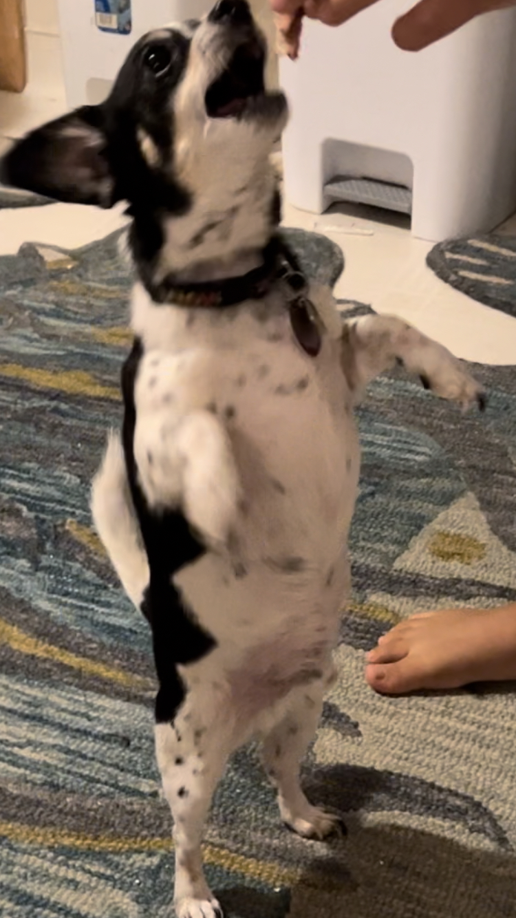 goofyahhjump
